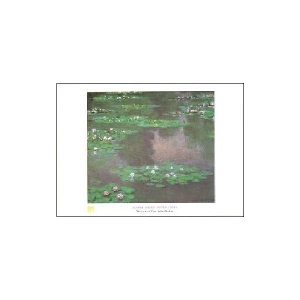 --l A[g|X^[-- @   (50cm×70cm) -CeA-