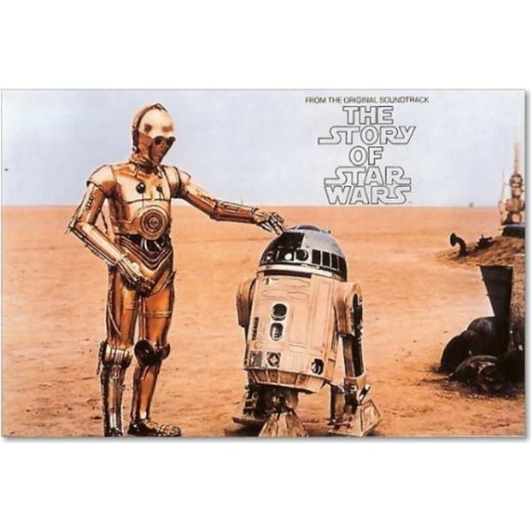 スター・ウォーズ ポスター Star Wars C-3PO / R2-D2 : ポスター