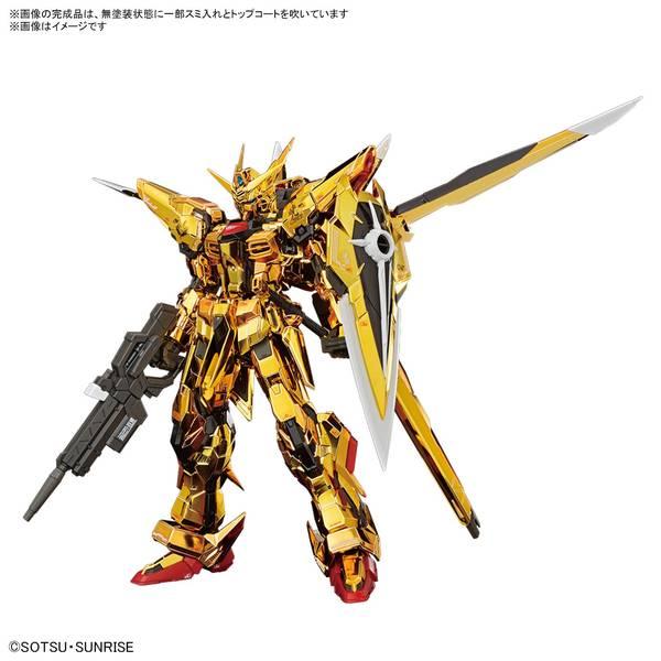 BANDAI バンダイ RG 1/144 アカツキガンダム(オオワシ装備 BANDAI バンダイ RG 1/144 アカツキガンダム(オオワシ装備