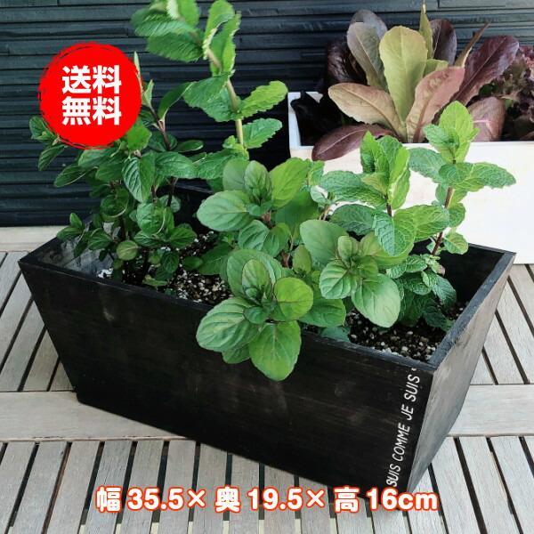プランター 植木鉢 鉢 おしゃれ 木製 楕円形 大型 スタンド 野菜 ラック オシャレ 屋外 室内 菜園 ナチュラルウッド ワイドスクエア 茶 34 A Bk ハーブ苗のポタジェガーデン 通販 Yahoo ショッピング