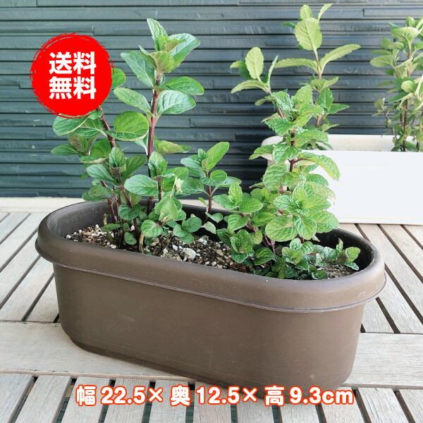 プランター 植木鉢 鉢 おしゃれ 木製 楕円形 大型 スタンド 野菜 ラック オシャレ カバー 屋外 室内 菜園 長方形 プラ製プランター 茶 のみ br ハーブ苗のポタジェガーデン 通販 Yahoo ショッピング