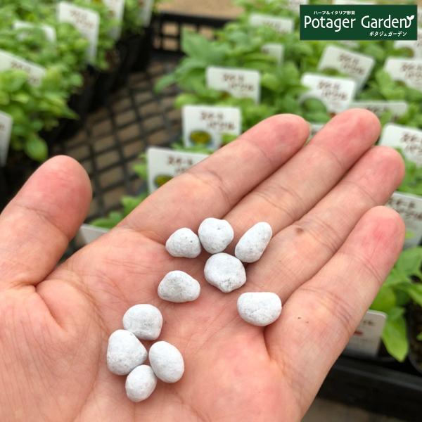 ハーブ 苗 専門店 ハーブ専用肥料 Hiryo ハーブ苗のポタジェガーデン 通販 Yahoo ショッピング