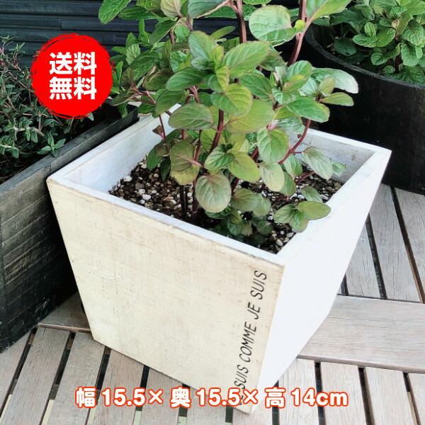 プランター 植木鉢 鉢 おしゃれ 木製 楕円形 大型 スタンド 野菜 ラック オシャレ カバー 屋外 室内 菜園 ナチュラルウッド スクエアs 白 Kei 34 B W ハーブ苗のポタジェガーデン 通販 Yahoo ショッピング