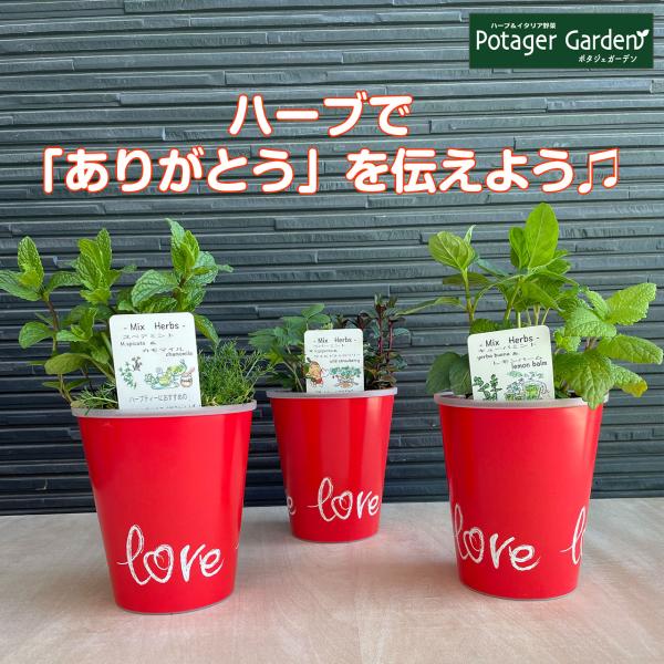 potager_mothersday-c