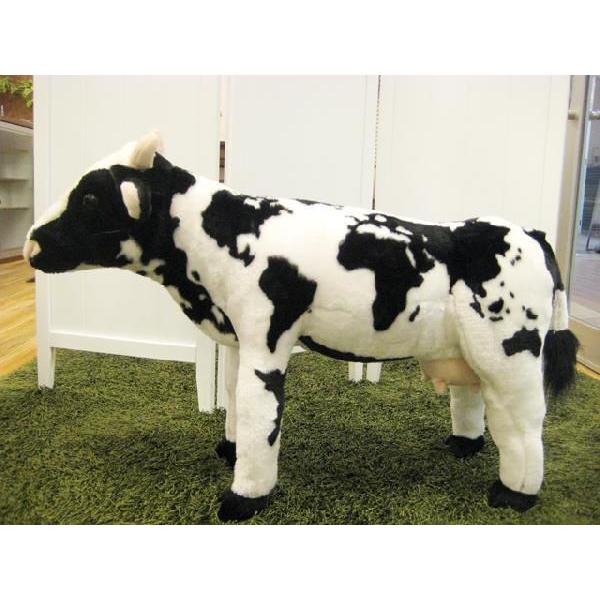 Aj}Xc[@ʂ݁@qpƋ@`FA@@@EV([h}bv)