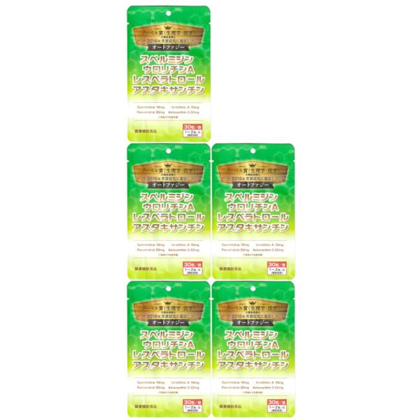 オートファジーとは、2016年ノーベル賞（生理学・医学）を受賞された大隈良典博士が発見された現象です。全身の細胞に備わっており、その細胞内成分などを回収・分解し、その結果得られる分解物をリサイクル（再生）することで細胞を正常な状態に維持する...