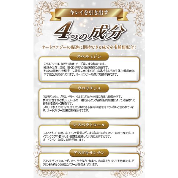 �I�[�g�t�@�W�[�ɒ��ځI��5���@�X�y���~�W�� �E�����`���` ���X�x���g���[�� �A�X�^�L�T���`���@�A�����J�v�Z���g�p �m�[�x���� �����f�B�J�� �G�C�W���O�P�A ���i�摜2