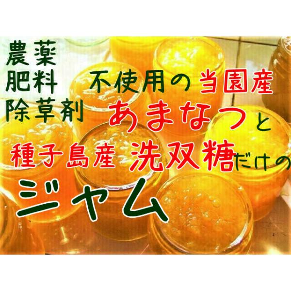 ジャム 甘夏 無農薬 有機肥料 除草剤不使用 無添加 手作り 0ml オーガニック育ち Buyee Buyee Japanese Proxy Service Buy From Japan Bot Online