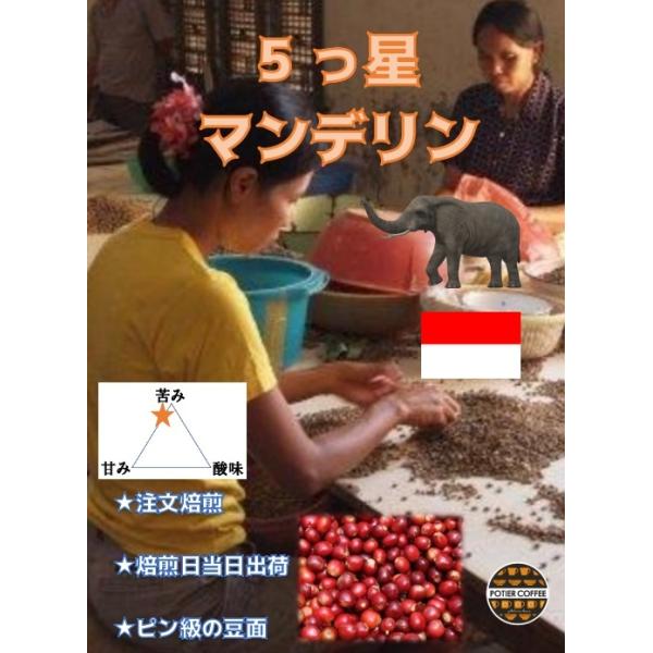 ܂}ffP@ROO@ChlVA@@@X}g@R[q[@R[q[@}f@