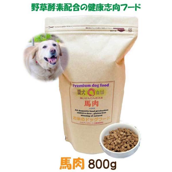 ファッション ドッグフード ドライフード 馬肉 鶏肉 野菜 2kg×2袋セット 国産 無添加 小型犬 成犬 シニア犬 ドッグフード工房 送料無料 黒瀬ペットフード 小鳥の健康バードミネラルsio 10cc