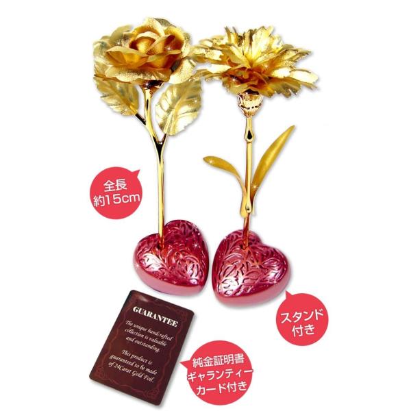 power-house-again_gold-flower-sps_3