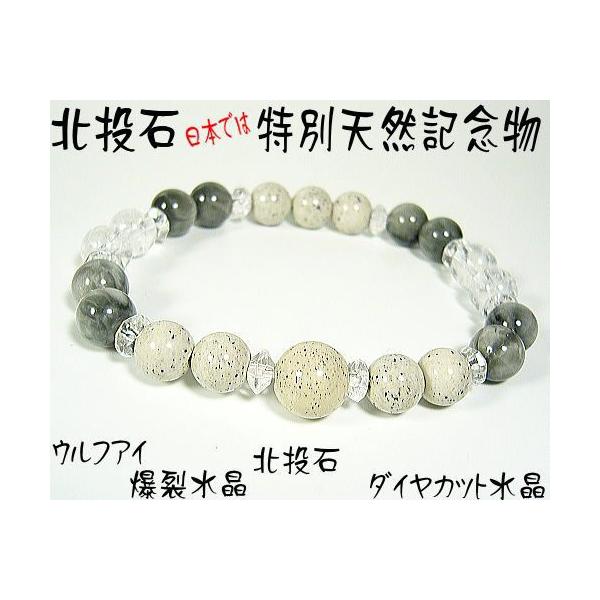 ylR|X/|Xgzk VRWEz uXbg /EtAC  _CJbg/ʐ쉷ƓpYk