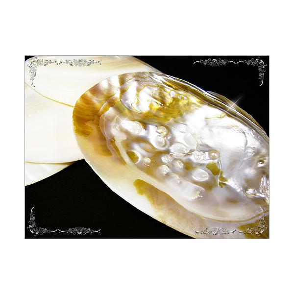 VRLp[VF VR΃p[Xg[򉻗p  u CeA  a v[g  lR|XF|Xg