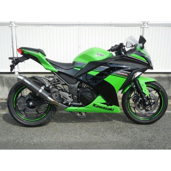 WR'S（ダブルアールズ） バイク マフラー 2013 -2017Ninja250/ABS (JBK