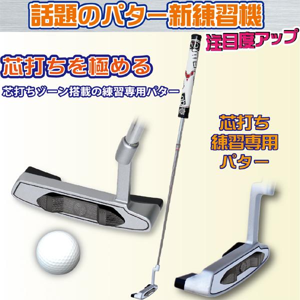 芯打ちクン 練習専用 パター 芯でとらえる トレーニング 上級 芯打ちクン 練習専用 パター 芯でとらえる トレーニング 上級