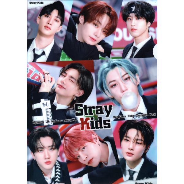 stray kids ストレイキッズ グッズ クリアファイル A4サイズ K