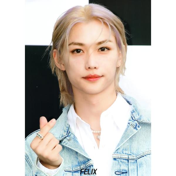 powerselect_strayfelixpo_1_d_20250227181044