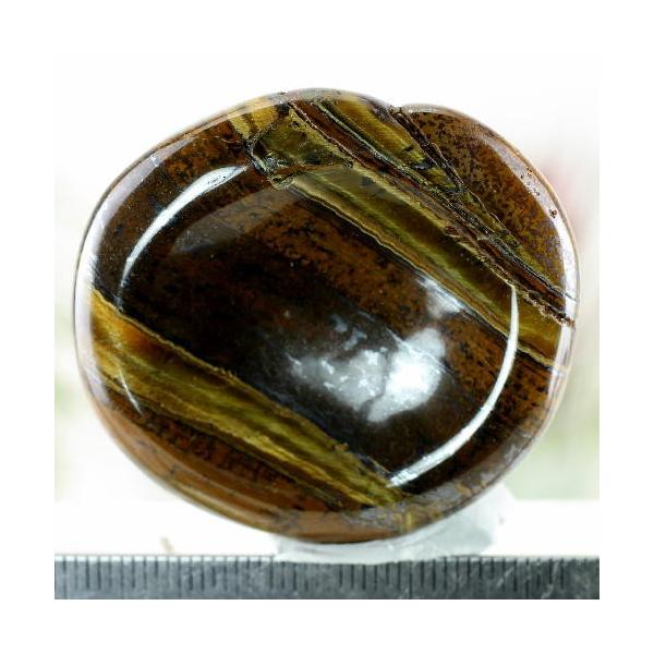 ^CK[AC q[Ov[g ݂ Yn AtJa Tiger's eye Ֆڐ Պ VR z 1_ iBe TGT-24