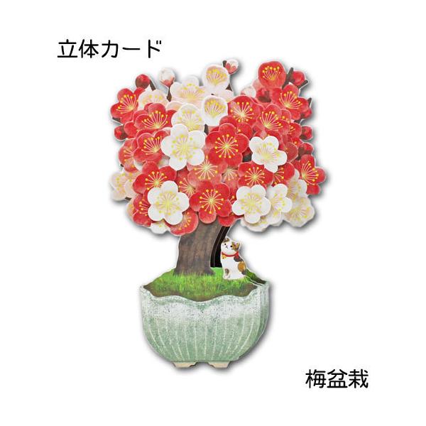 |bvAbvJ[h ړIJ[h bZ[WJ[h t̗̃J[h ~~ G߂̂ J[h  C t z[}[N