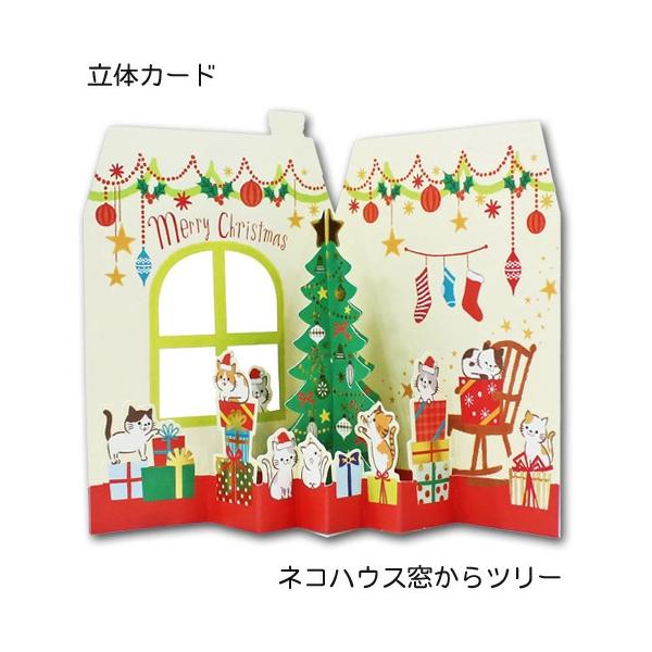 アイカツカード　ガーデンクリスマス アイカツカード ガーデンクリスマス Garden Christmas Coord