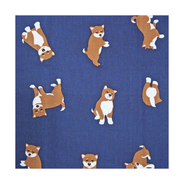 ĂʂuđDvy3ȏőz @ 䕿   _l PCX { n {Ăʂ nJ` ^I  z  [