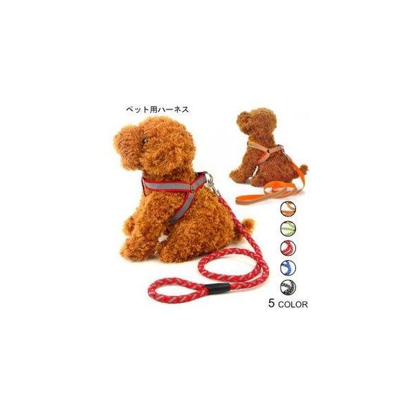 かっこいい セット 犬用品の人気商品 通販 価格比較 価格 Com