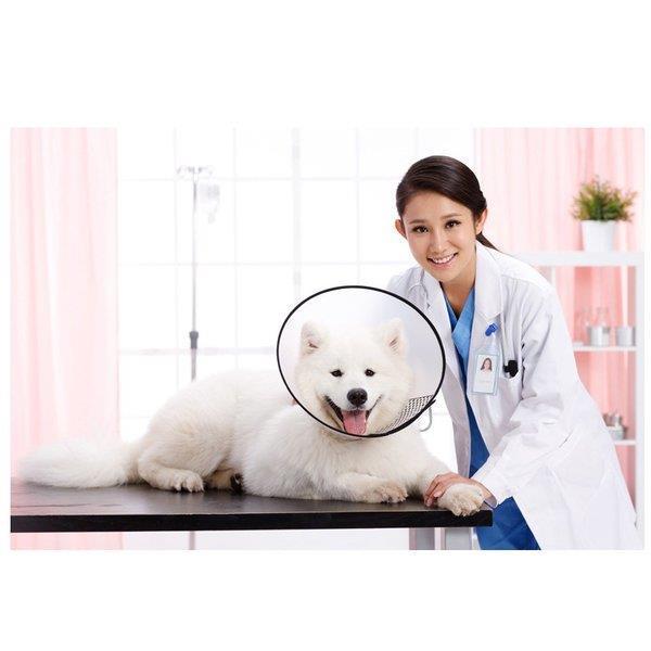 ペット用 エリザベスカラー 保護カバー 犬用猫用 半透明 傷口保護 ソフト マジックテープ付き Xrxsuqi Picoo 通販 Yahoo ショッピング
