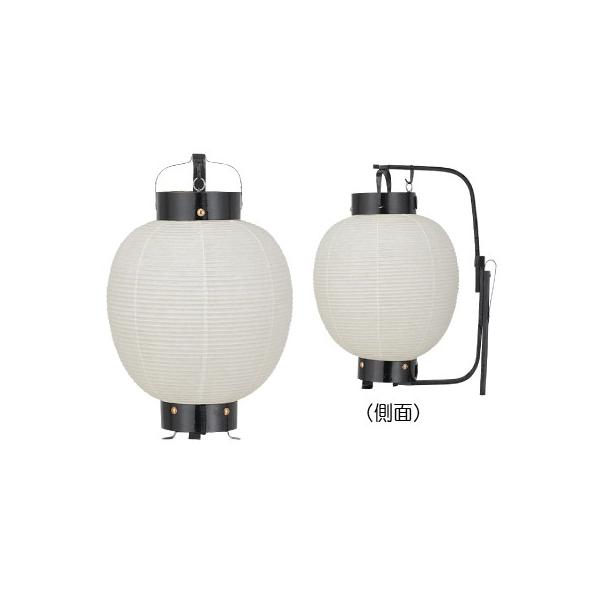 T210s-1 ڎq| a ܋| | 26×40cm 傤 (T512)