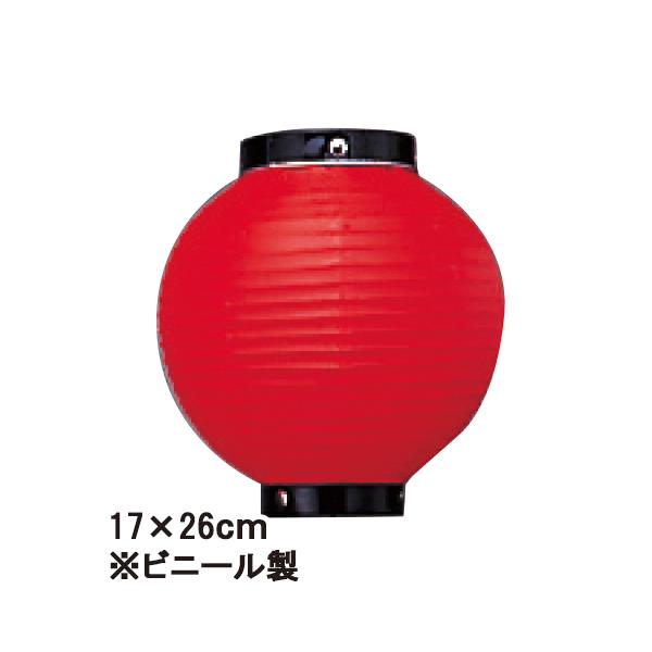 (4ȏ`) Tb206-6 6ی^ /g rj[ | 17×26cm p 傤 (b60)