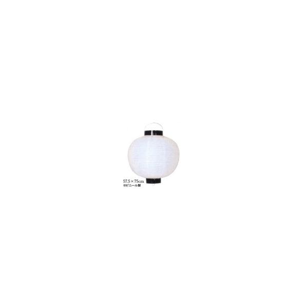 Tb220-7 20ی^ /g rj[ | 57.5×75cm 傤 (b121)