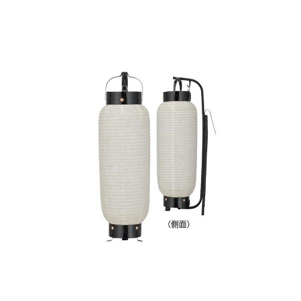 T529 ~^ ɑ| a | 15.5×50cm 傤