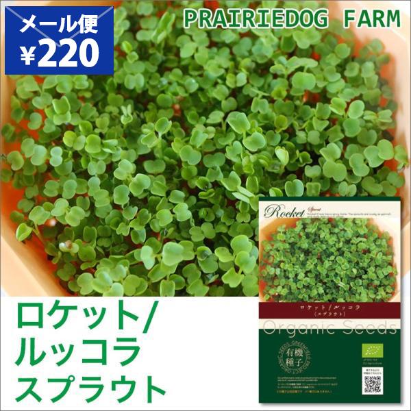 ∞ おうちでベジ ∞キッチンで自分で育てるスプラウトの種。スパイシーな味わい、ゴマのような香りが楽しめます。解毒機能をもつグルコシノレート含有で注目の野菜です。※草丈３〜４ｃｍで生育が止まります。種子の生産、採種、保管などすべての工程におい...