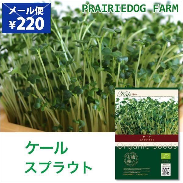 ケールスプラウト 種 種子 オーガニック おうちでベジ ケール スプラウト 栽培 Buyee Buyee บร การต วกลางจากญ ป น ซ อจากประเทศญ ป น