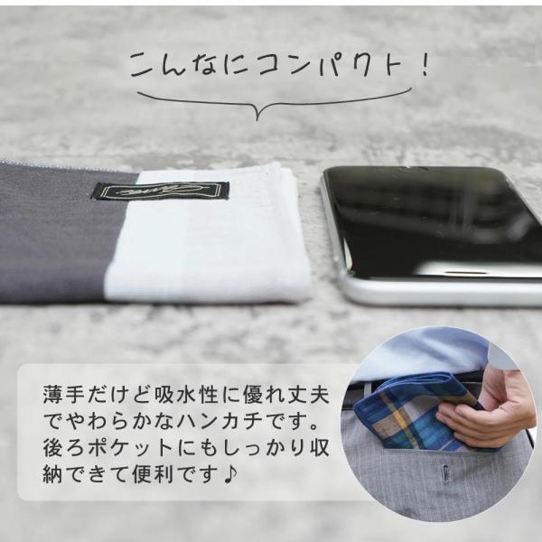 prairiedogmij_pcu_2_d_20260215201147