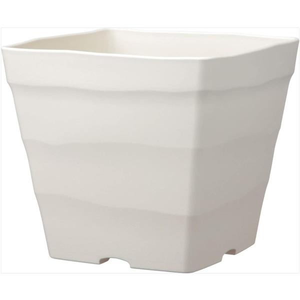 AbvEFA[ NtgXNGARO^zCg      WH zCg 4905980140165 fĂ At 񂹐A K[fjO