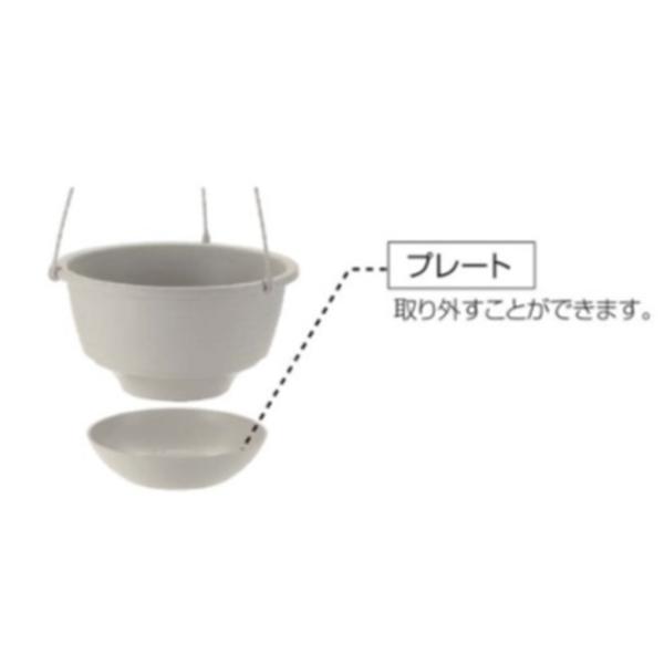 b`F  nMO{[XgCvU _[NO[  4945680701303  |pi K[fjOpi Aؔ v^[ ݔ