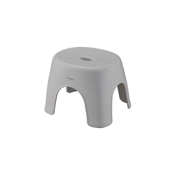 AXx ASVEL G~[tCX24 O[ 24cm 4974908530159 G~[ oX CCX R  