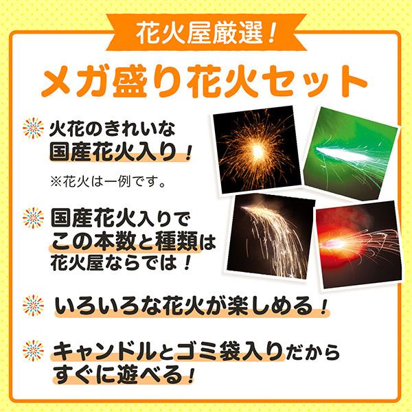 花火 手持ち花火 花火セット 送料無料 噴出し花火 打ち上げ花火 線香花火 大量 大人数 メガ盛りボリュームmax 3000 Buyee Buyee Japanese Proxy Service Buy From Japan Bot Online
