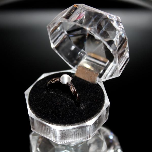 preciousto_r-case-05b