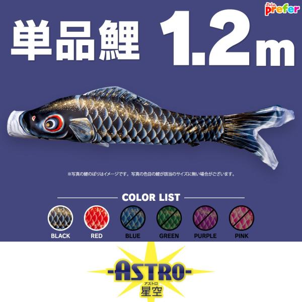 こいのぼり 単品 ASTRO 星空鯉 1.2m 単品鯉