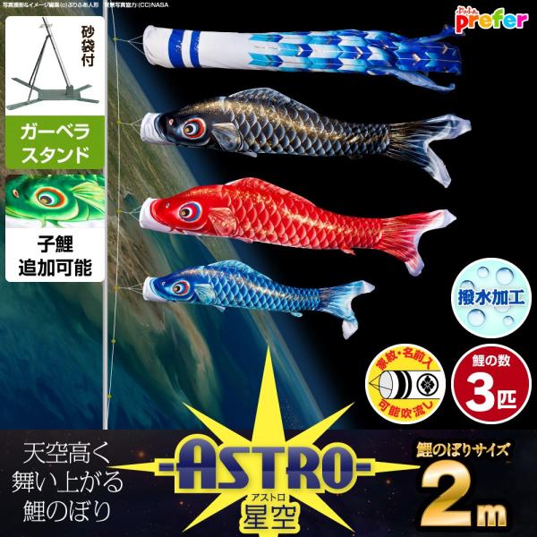 ベランダ用 こいのぼり」の人気商品一覧・価格比較 - 価格.com