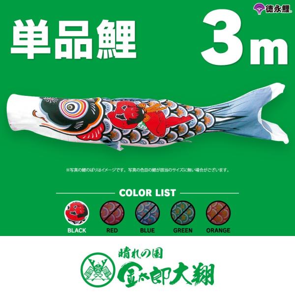 こいのぼり 単品 金太郎太翔 3m 単品鯉 黒 : 節句&ギフト専門店 ぷりふ