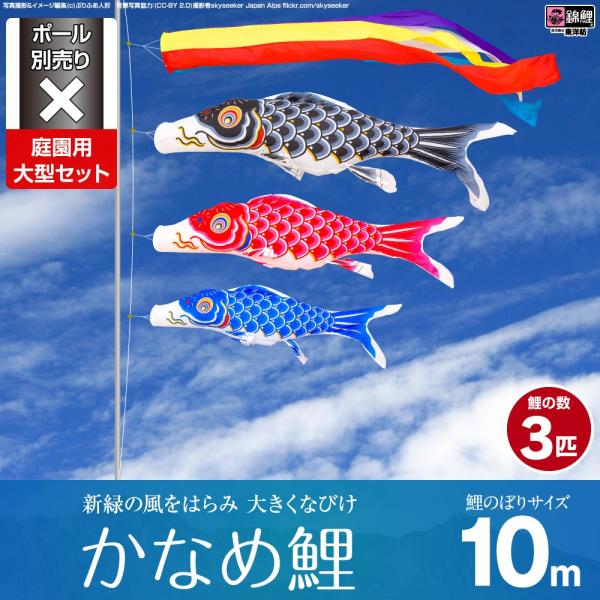 ̂ڂ p ̂ڂ ь V΂̕ɂȂт Ȃߌ 10m 6_Zbg 뉀 ^Zbg |[ ʔ