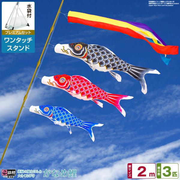 鯉のぼり ベランダ用 こいのぼり 錦鯉 渡辺鯉新緑の風になびく かなめ