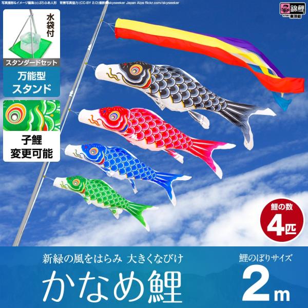 鯉のぼり ベランダ用 こいのぼり 錦鯉 新緑の風になびく かなめ鯉 2m 7