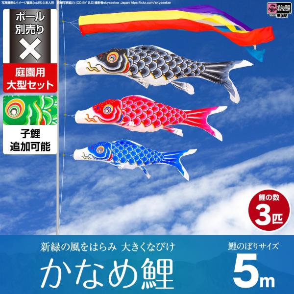 ̂ڂ p ̂ڂ ь V΂̕ɂȂт Ȃߌ 5m 6_Zbg 뉀 ^Zbg |[ ʔ