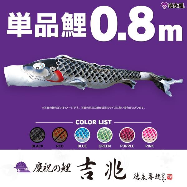 ̂ڂ Pi g 0.8m Pi    sN