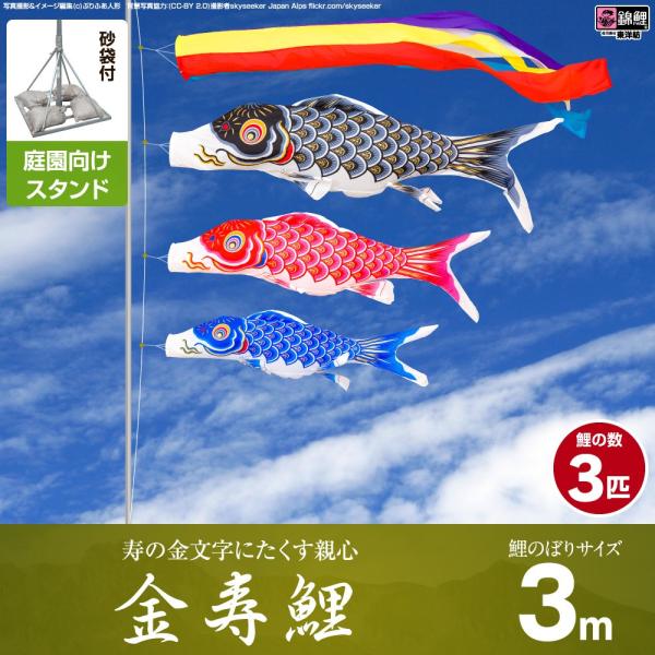 ̂ڂ p ̂ڂ ь ̋ɂeS  3m 6_Zbg 뉀 |[t K[fX^hZbg