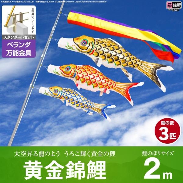 ̂ڂ x_p ̂ڂ ь ь 2m 6_Zbg \tt x_ X^_[hZbg