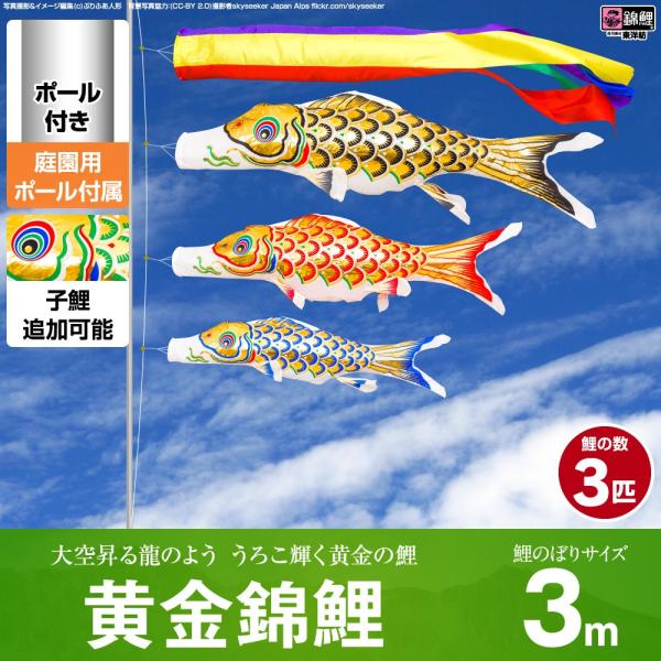 ̂ڂ p ̂ڂ ь ь 3m 6_Zbg ̂ڂ p |[t K[fZbg